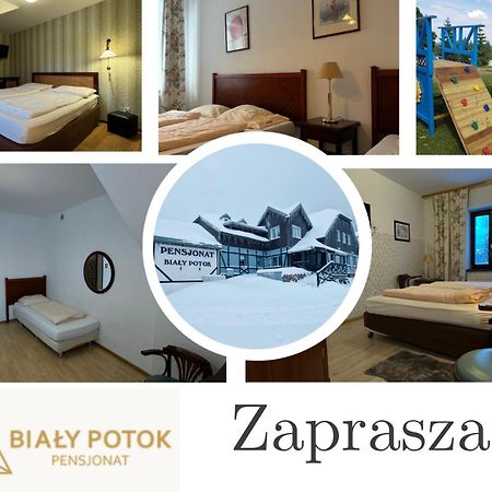 Bialy Potok Bed & Breakfast Zieleniec  Exterior photo
